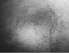 Tȱ6- s ճģ w߅113 (1694)
