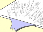 \ϽȱݵJ(rn)RͿƣ130 (1634)